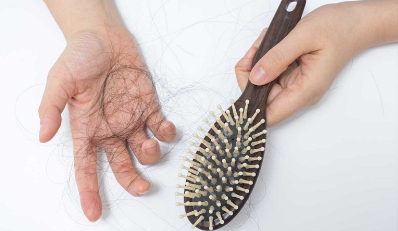 Quy trình phát triển của tóc